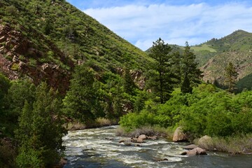 south  platte river rapids and  scenic foothills in spring  in waterton canyon, littleton, colorado...