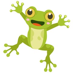 Big-Eyed Green Frog with Pink Nose