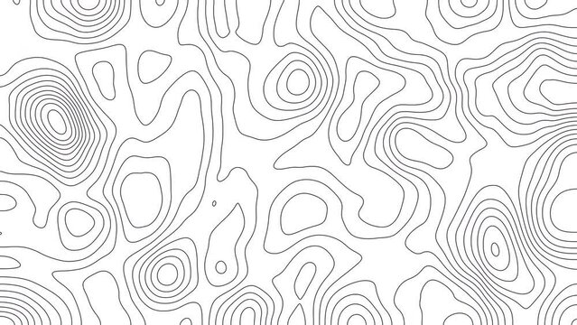 Animated wavy line motion graphic background. Topographic map contour animation. Seamless looped