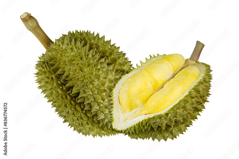 Wall mural durian isolated on transparent.