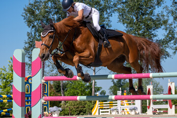 Show jumping competition on horseback. Horse Jumping, Equestrian Sports, Show Jumping themed photo.
