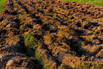 Freshly turned soil in the late afternoon sun