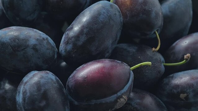 Top view of fresh ripe plums rotating on board. Harvest time. Healthy and organic fruit concept