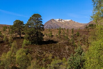 Scotland highlands Glen Affric Cannich