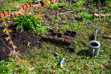 Peat pots with seedlings stand near the bed, preparation for planting, garden, agriculture