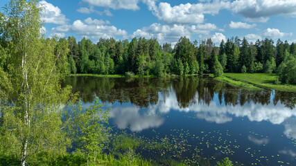 Obraz premium lake and forest