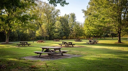 A wide shot of a scenic park with multiple picnic areas featuring picnic tables and benches scattered throughout the grassy landscape