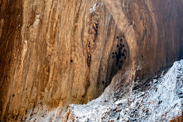 Sunbeam Sanctuary Subterranean Wonder