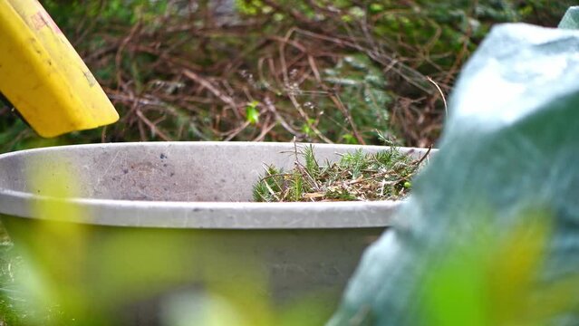The process of chopping branches into mulch with wood chipper in garden, ecology, wood recycle