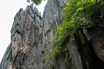 Yana Caves Ancient Marvel Amidst Verdant Beauty