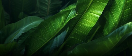 Photorealistic tropical leaf texture with abstract green patterns, highlighted by cinematic lighting, providing a natural background.