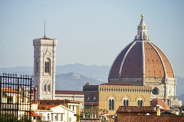 Fototapeta premium Panorama of Florence from the Garden of Boboli in Florence, Italy