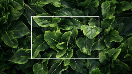 Fototapeta premium Artichoke leaves with a vector rectangular overlay prominently placed.