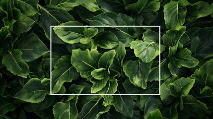 Artichoke leaves with a vector rectangular overlay prominently placed.