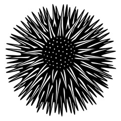 Naklejka premium Black and White Illustrations of Sea Creatures and Fish, silhouette illustrations of various sea creatures in hand drawn style