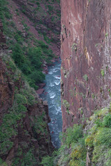 Red rocks of Gorges de Daluis, gorges in the Provence Alpes Cote d'Azur region, France