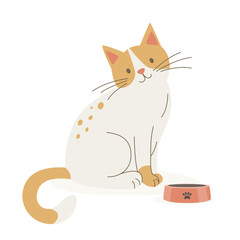 Vector Flat Orange and White Cat with Pets Bowl. White and Ginger Cartoon Cat Icon Isolated. Cute and Funny Cat in Front View