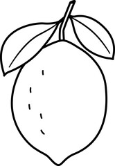 Whole lemon outline.
lemon with leaves outline
.Lemon black line.