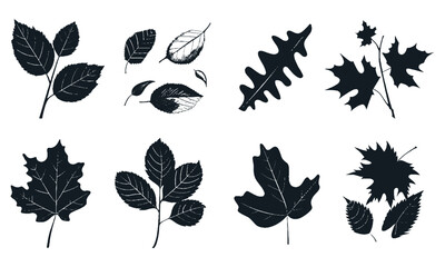 Hand drawn leaves elements set. Autumn leaf shape background. Various leaves in black color on white background for wallpapers, fabrics, packaging, webs, stickers, cards, posters. Doodle vector herbs