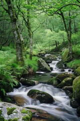 Serene Forest Landscape with Flowing Stream - Perfect for Text Overlay