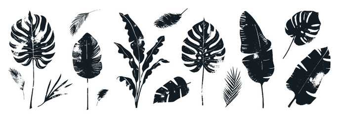 Abstract foliage elements isolated on a white background. Tropical leaves set. Collection of black and white graphic silhouettes. Hand drawn of botanical vectors for decor, website, graphic decorative