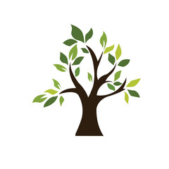 Fototapeta premium BEAUTYFUL TREE 