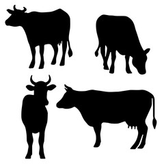 Cow Silhouette: Farm Animal, Livestock, Flat Vector Illustration