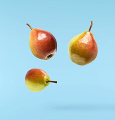 Fresh ripe Pear falling in the air, isolated on blue background. Food levitation or zero gravity concept. High resolution image