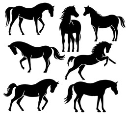 Horse Silhouette: Equine Outline, Equestrian Symbol, Animal Icon, Flat Vector Illustration