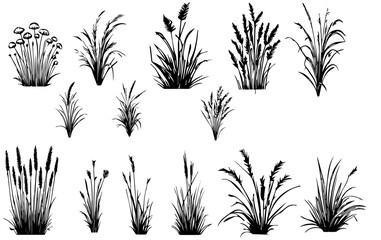 Set of grass line cad and silhouettes isolated on white background. Ground cover. Illustration for elevation architectural element, side view, grass section vector illustration