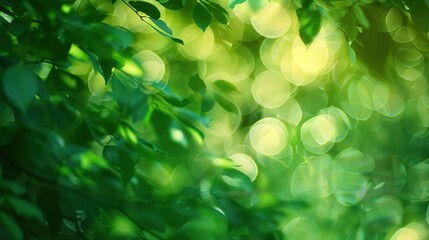 Soft focus background featuring shades of green, ideal for adding a subtle touch of color. 