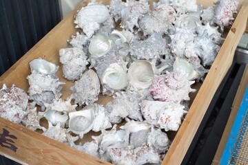 小田原の片隅にある新鮮なお魚屋さん