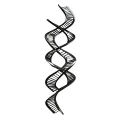 3D rendering of a black DNA double helix on a white background, representing genetic research and biotechnology innovation.
