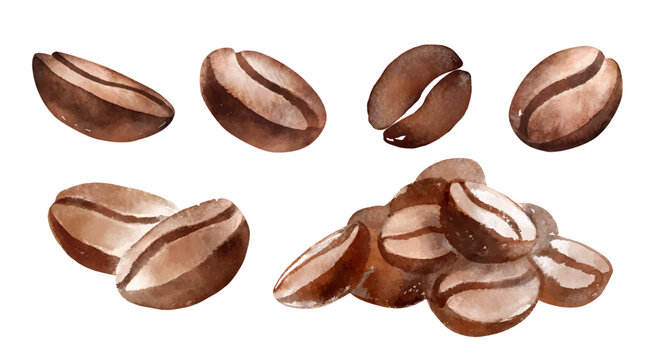 Watercolor illustration set of coffee beans