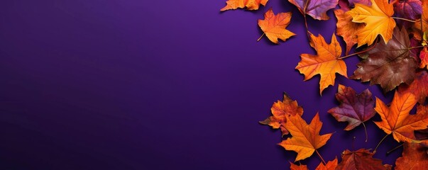 Autumn leaves on purple background. Horizontal banner and web poster and header for website with space for text