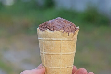 one brown ice cream in a waffle cup on a green background