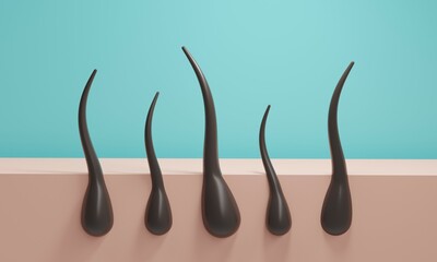 Hair growth from skin. 3d rendering