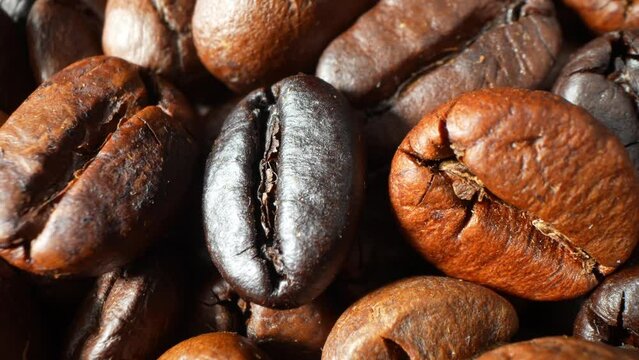 Explore the world of coffee through these mesmerizing beans, their deep brown color and glossy texture hinting at the intense aroma and flavor within. A tantalizing sight for coffee connoisseurs.
