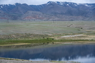 landscape of the surroundings of the village of Kosh Agach mountains with lakes and unusual...