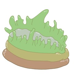 cartoon Seaweed surrounds light green coral.