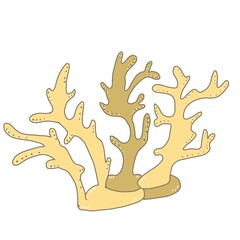 Cartoon yellow and brown coral with many limbs.