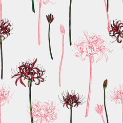 Spider lily flowers vector seamless pattern. Hand drawn exotic plants Lycoris. Vintage floral ornament.