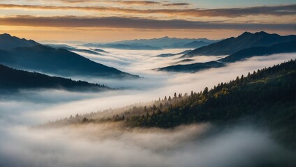 Fototapeta premium sunrise in the mountains with forest and fog