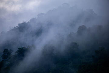 The background texture of mountains in the rainy season and the icy rain fog feels cool and refreshing with the green color of the forest that is cool and pleasing to the eye.