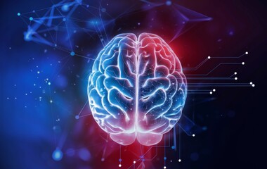 Fototapeta premium A digital representation of a human brain