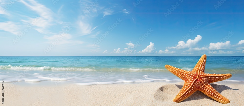 Poster starfish on the sandy shoreline with clear blue skies above, creating a picturesque scene with ample
