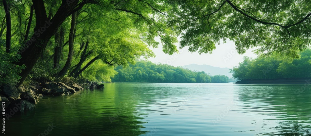 Poster the picturesque view of verdant trees by the shoreline in a copy space image.