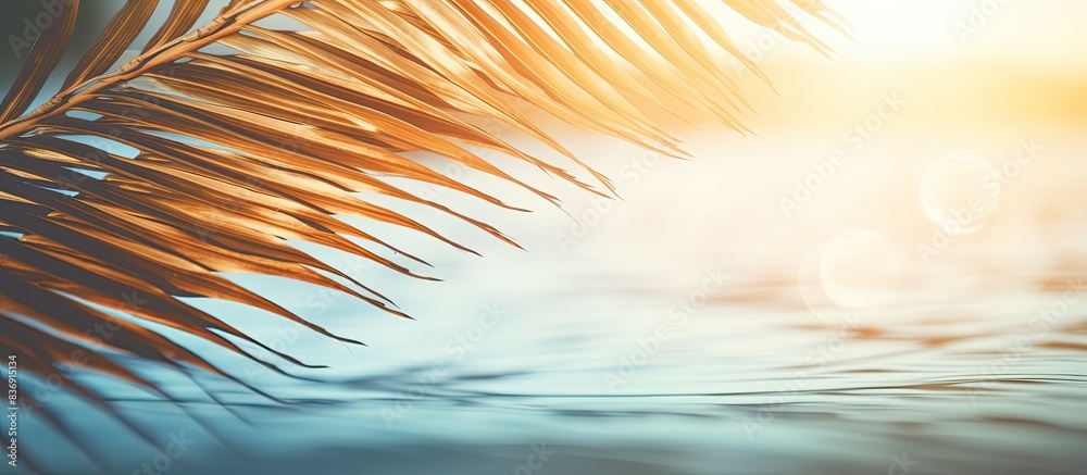 Poster Vintage toned palm leaf on a tropical beach with a blurred background of sunlight reflecting on waves creates an abstract and beautiful image with copy space.