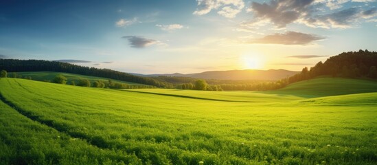 Fototapeta premium Sunset light illuminating a lush green field landscape with ample copy space image.