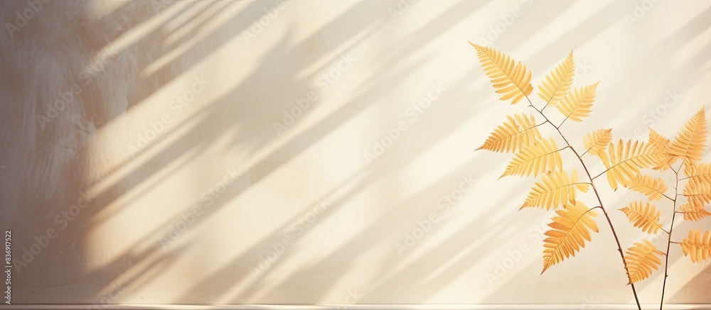 Aufkleber Blurred natural light filters through windows, casting leaf shadows on textured wall with abstract background suitable for product display and mockup with copy space image.